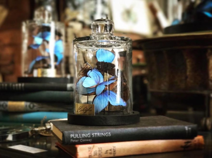 Paper grief: a girl carved more than 800 paper butterflies in memory of her late grandmother