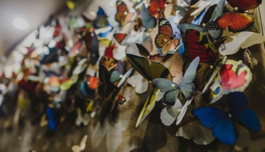 Paper grief: a girl carved more than 800 paper butterflies in memory of her late grandmother