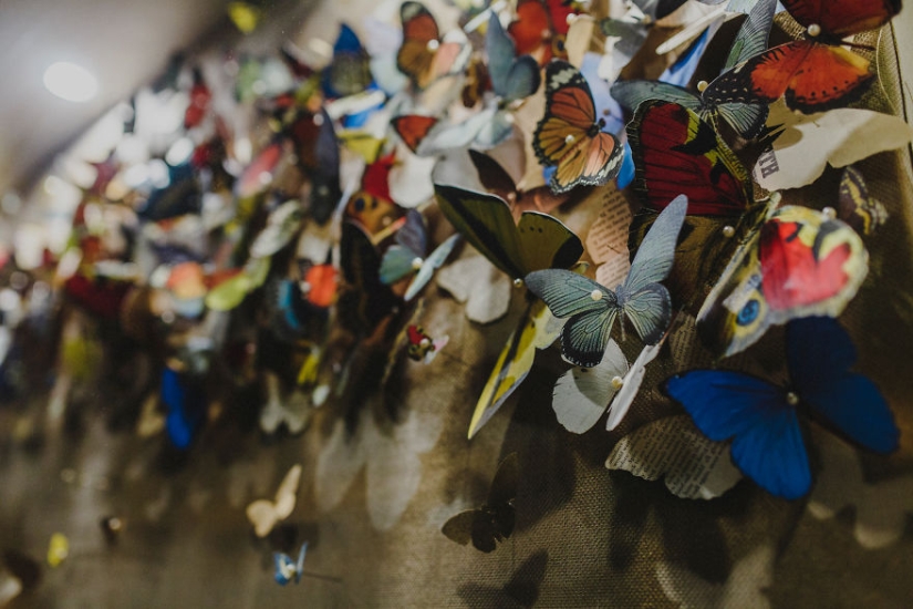 Paper grief: a girl carved more than 800 paper butterflies in memory of her late grandmother