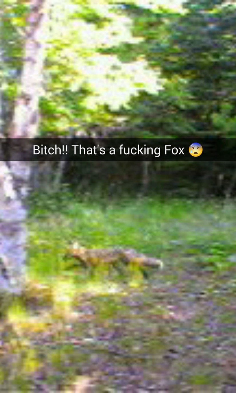 Para este tipo, el viernes 13 fue un día realmente malo Para este tipo, el viernes 13 fue un día realmente malo