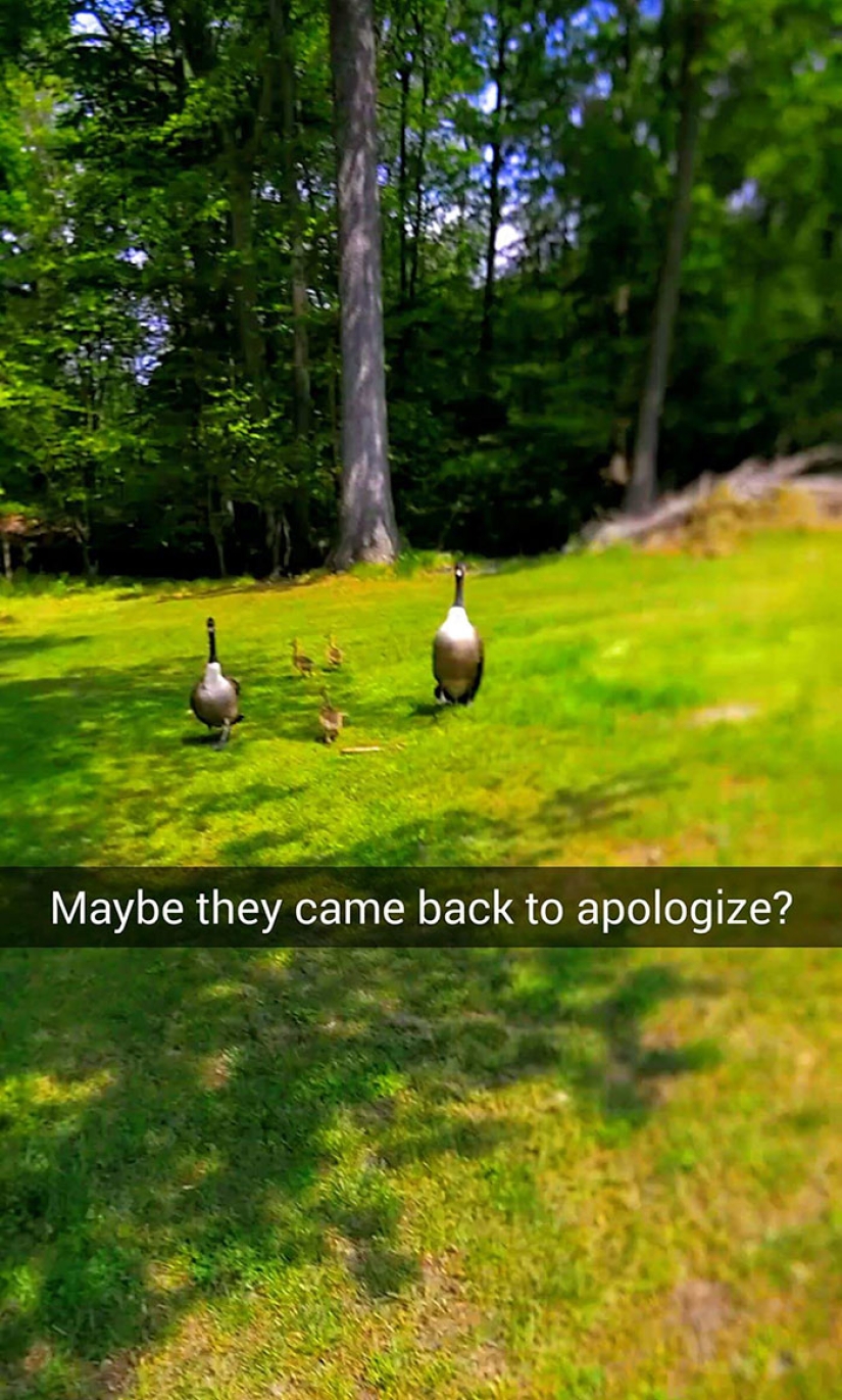 Para este tipo, el viernes 13 fue un día realmente malo Para este tipo, el viernes 13 fue un día realmente malo