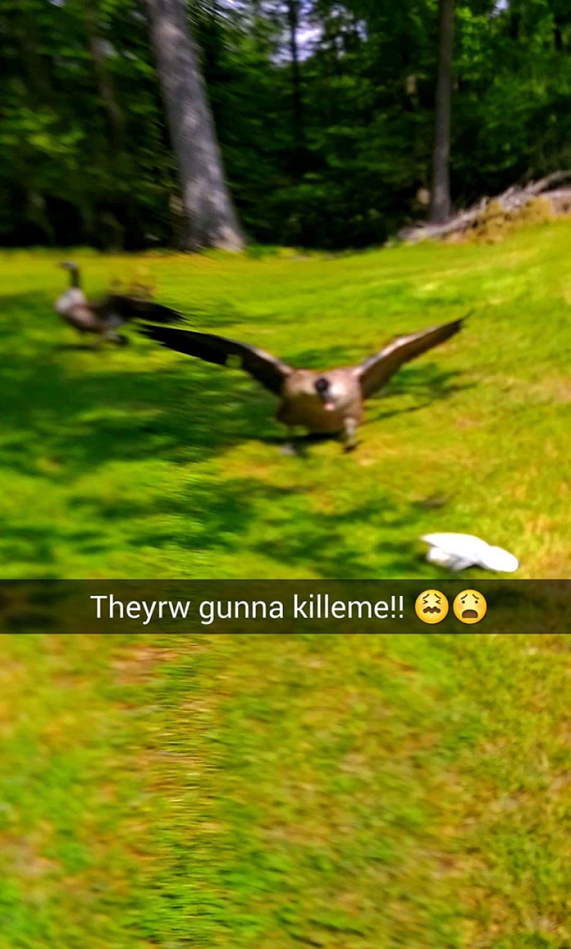 Para este tipo, el viernes 13 fue un día realmente malo Para este tipo, el viernes 13 fue un día realmente malo