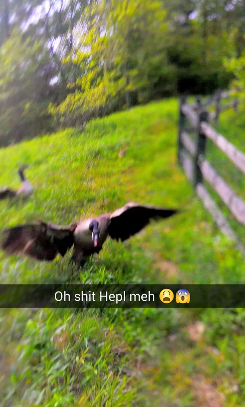 Para este tipo, el viernes 13 fue un día realmente malo Para este tipo, el viernes 13 fue un día realmente malo