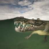 Para quien es la ola, para quien la madre es querida