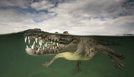 Para quien es la ola, para quien la madre es querida