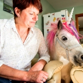 Pareja escocesa tiene un 'unicornio' como mascota