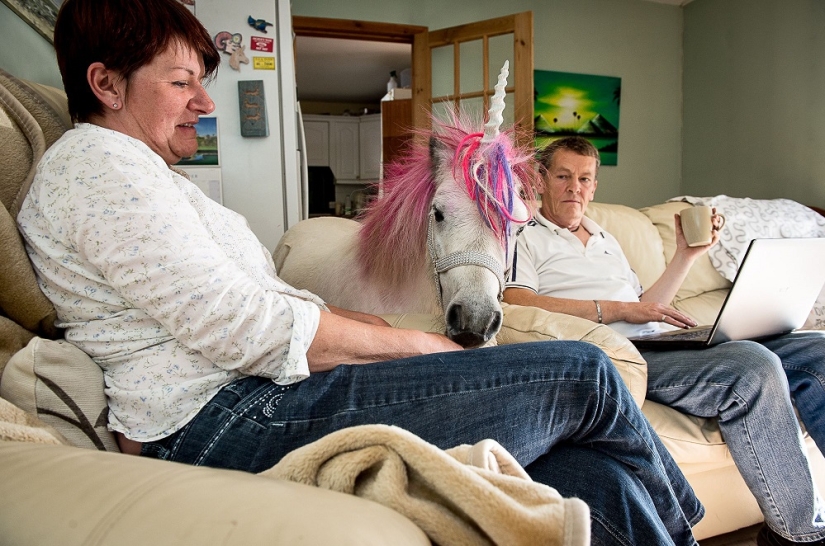 Pareja escocesa tiene un 'unicornio' como mascota