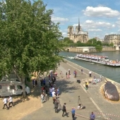 Paris residents found an "ejected whale" on the Seine embankment