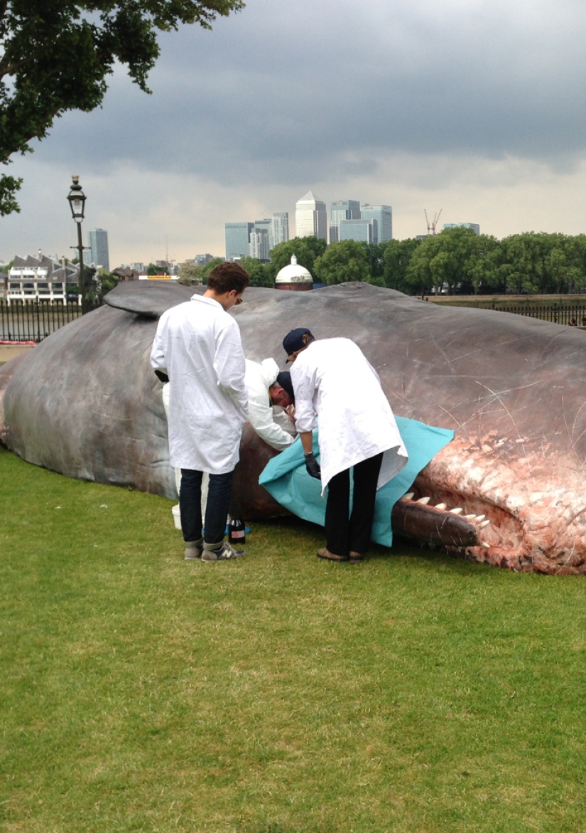 Paris residents found an "ejected whale" on the Seine embankment Paris residents found an "ejected whale" on the Seine embankment