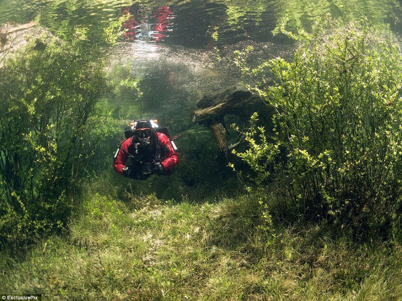 Parque fantasma del lago verde Parque fantasma del lago verde