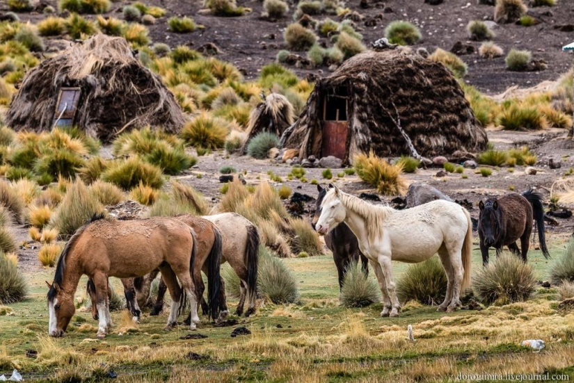 Parque Nacional Sahama