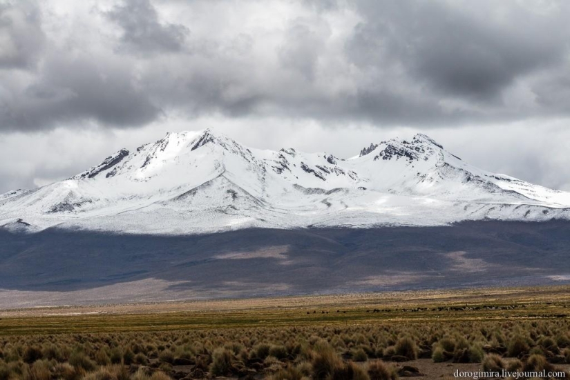 Parque Nacional Sahama