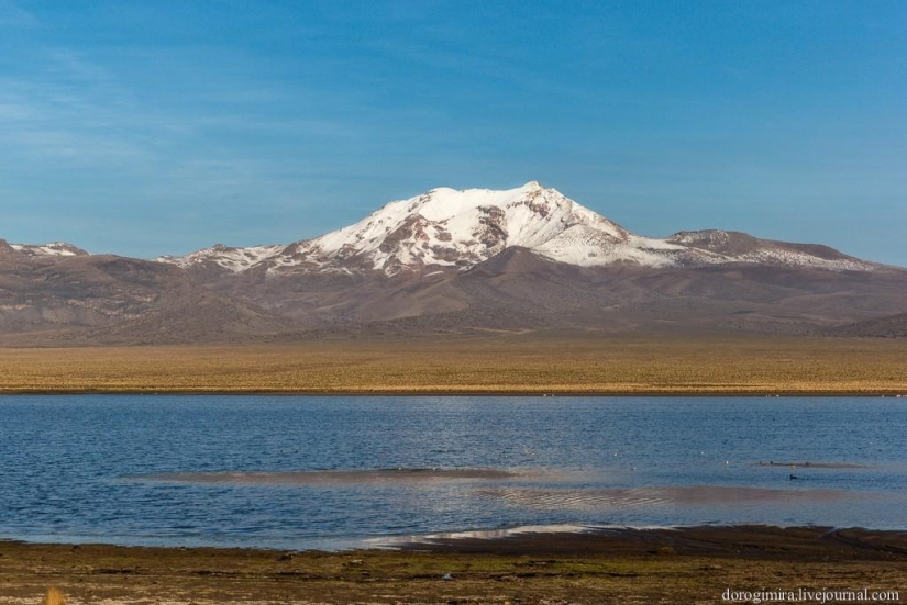 Parque Nacional Sahama