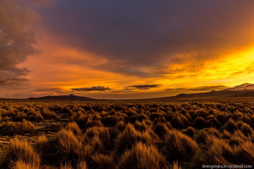 Parque Nacional Sahama