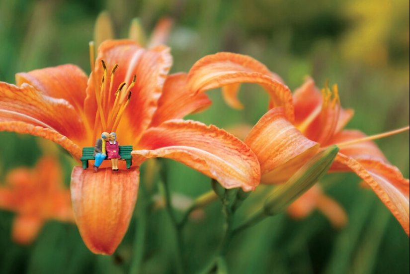 Pasé un año fotografiando a los pequeños residentes de nuestra granja de hortalizas, y aquí están las 10 mejores fotos