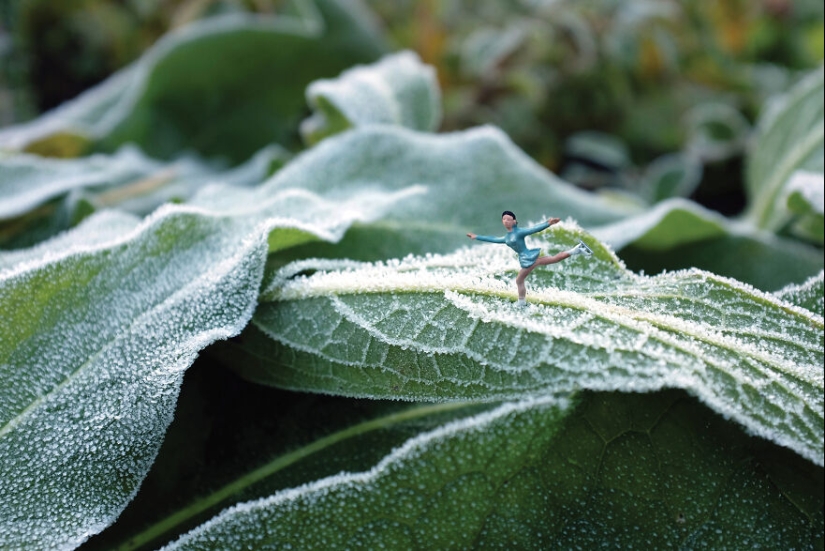 Pasé un año fotografiando a los pequeños residentes de nuestra granja de hortalizas, y aquí están las 10 mejores fotos