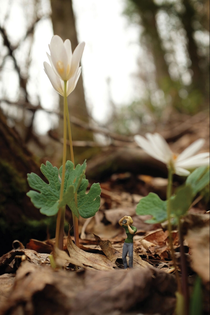 Pasé un año fotografiando a los pequeños residentes de nuestra granja de hortalizas, y aquí están las 10 mejores fotos