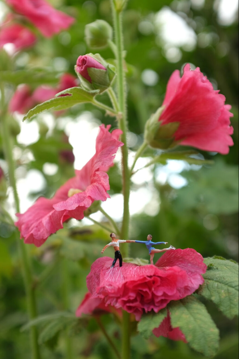 Pasé un año fotografiando a los pequeños residentes de nuestra granja de hortalizas, y aquí están las 10 mejores fotos