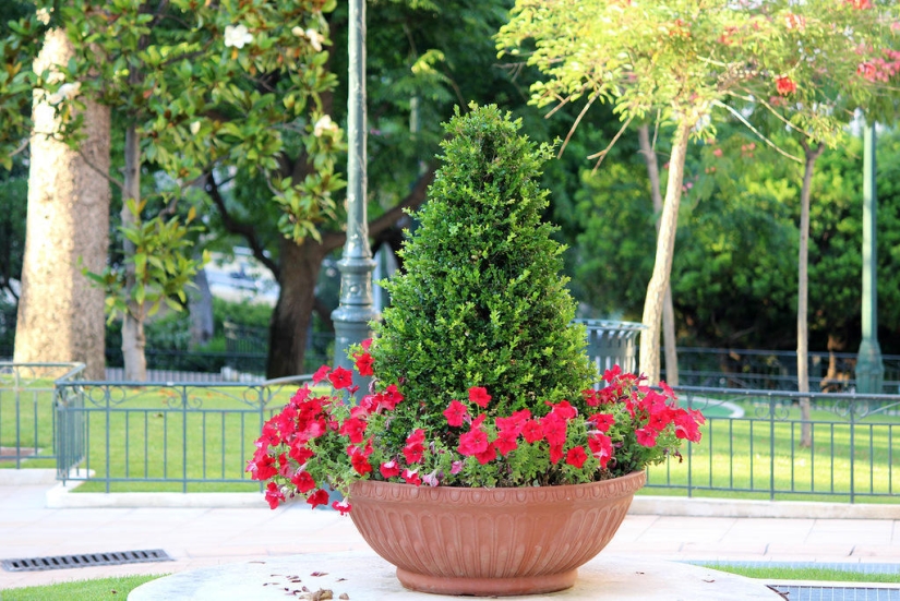 Paseando por Montecarlo