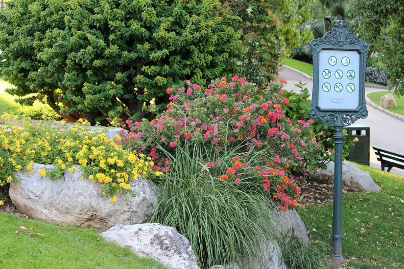 Paseando por Montecarlo