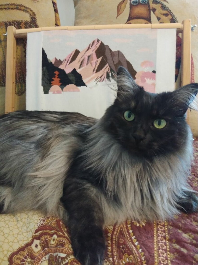 Patrones de punto de cruz: Mis ideas (Parte 2)