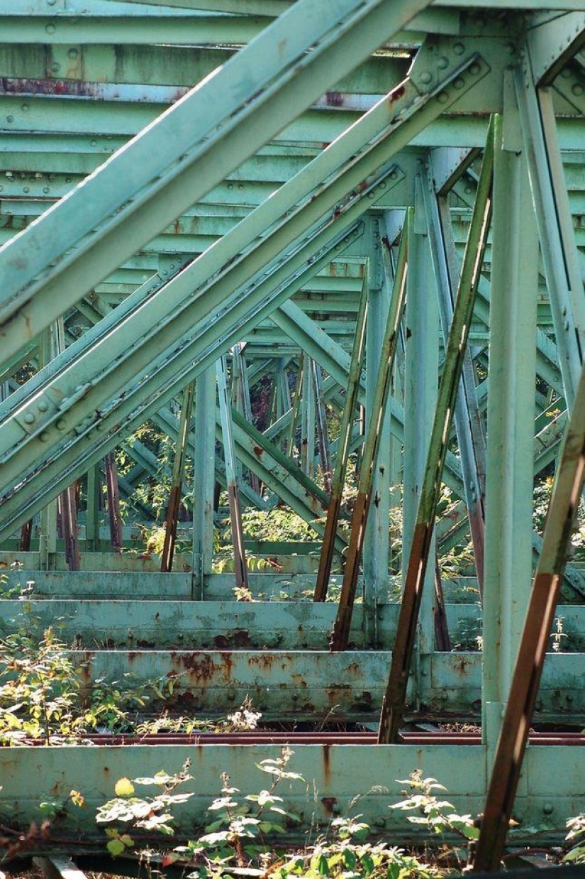 Patrones: increíbles repeticiones