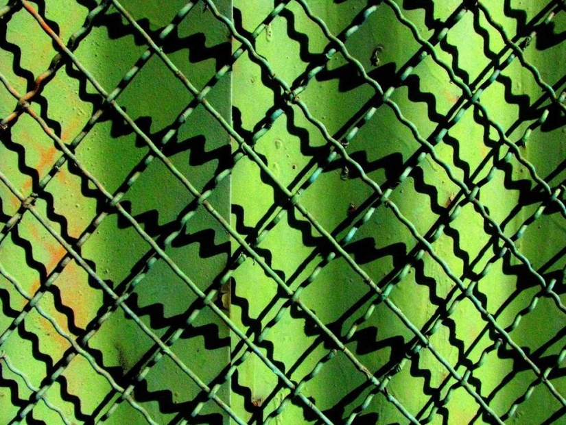 Patterns: Amazing repeats