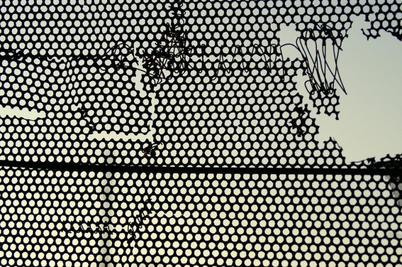 Patterns: Amazing repeats