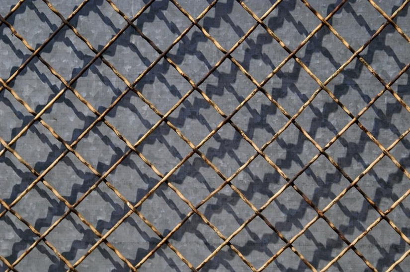 Patterns: Amazing repeats