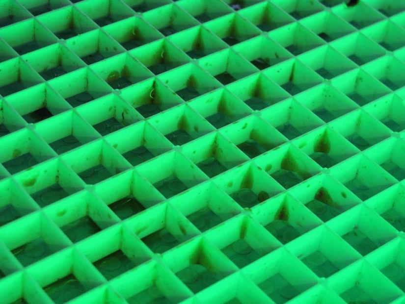 Patterns: Amazing repeats