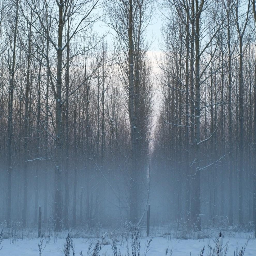 Patterns: Amazing repeats