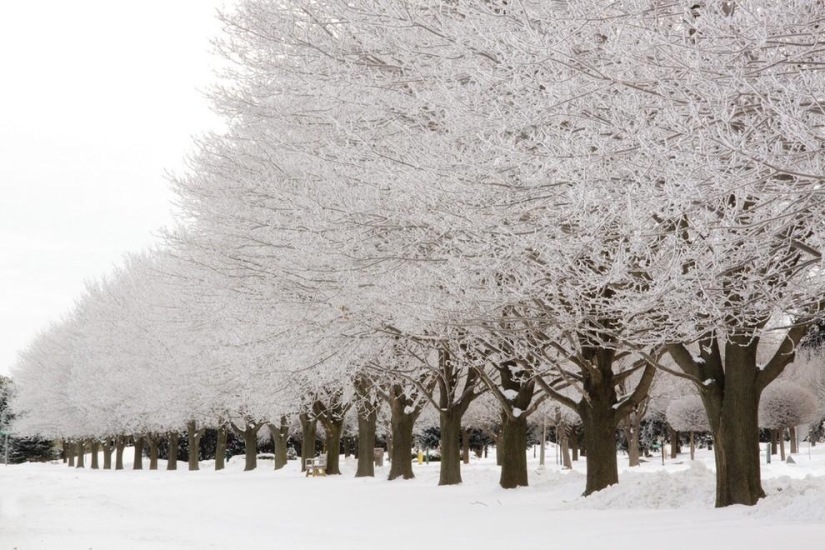 Patterns: Amazing repeats