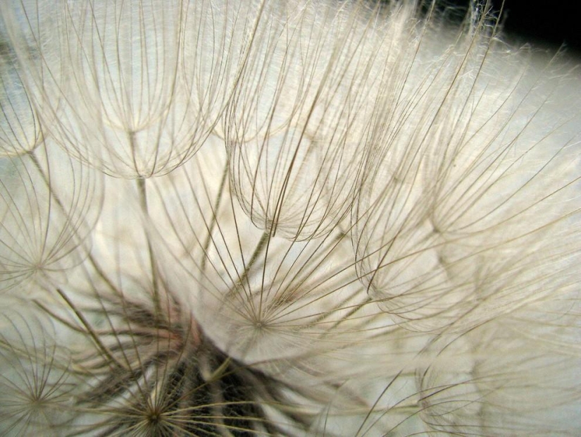 Patterns: Amazing repeats