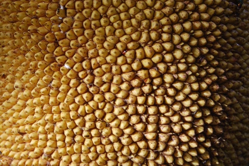 Patterns: Amazing repeats