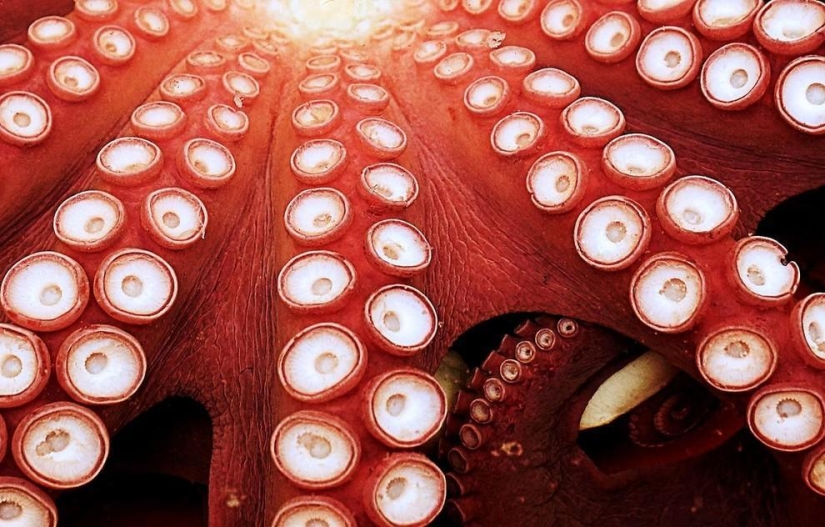 Patterns: Amazing repeats