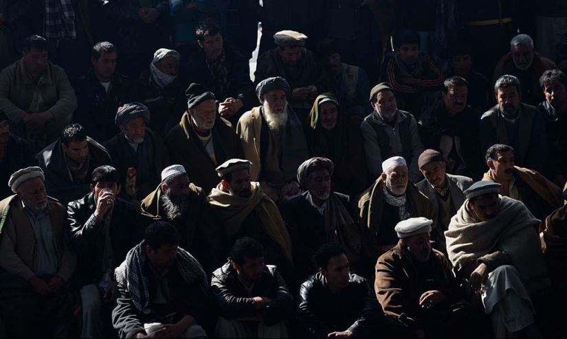 peleas de gallos en afganistán