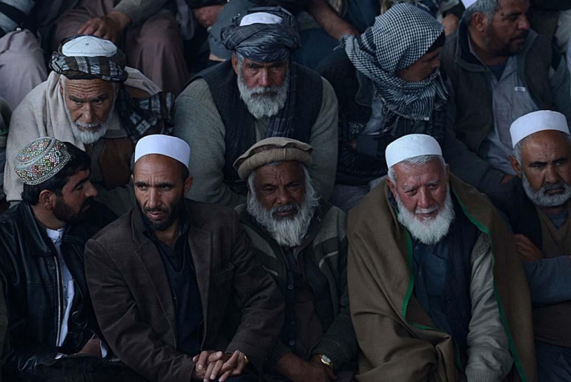 peleas de gallos en afganistán