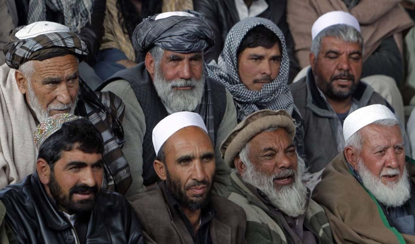 peleas de gallos en afganistán