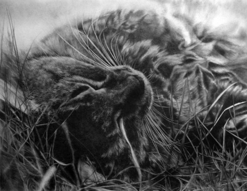 Pencil Sketch Master - Paul Lang Pencil Sketch Master - Paul Lang