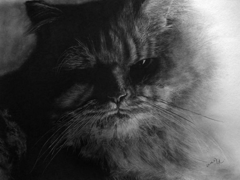 Pencil Sketch Master - Paul Lang Pencil Sketch Master - Paul Lang