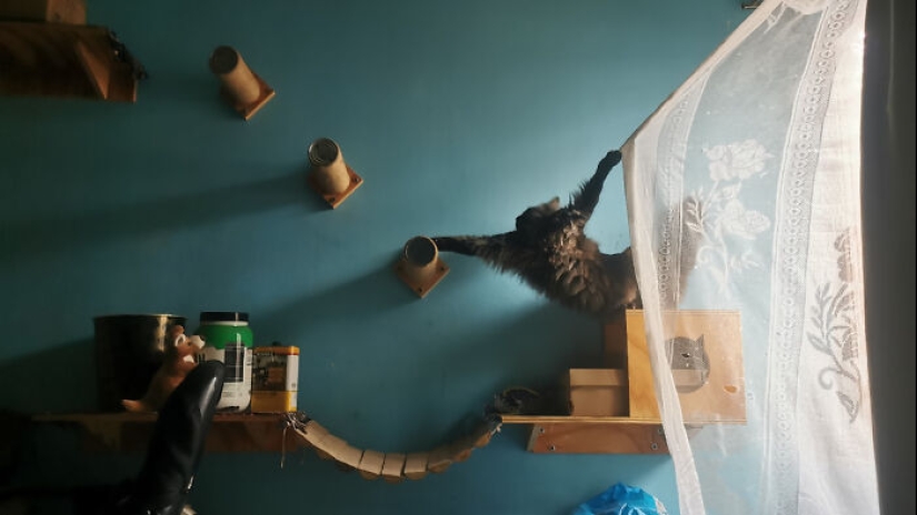 People Took Pictures, Only To Realize It Was ‘Accidental Renaissance’