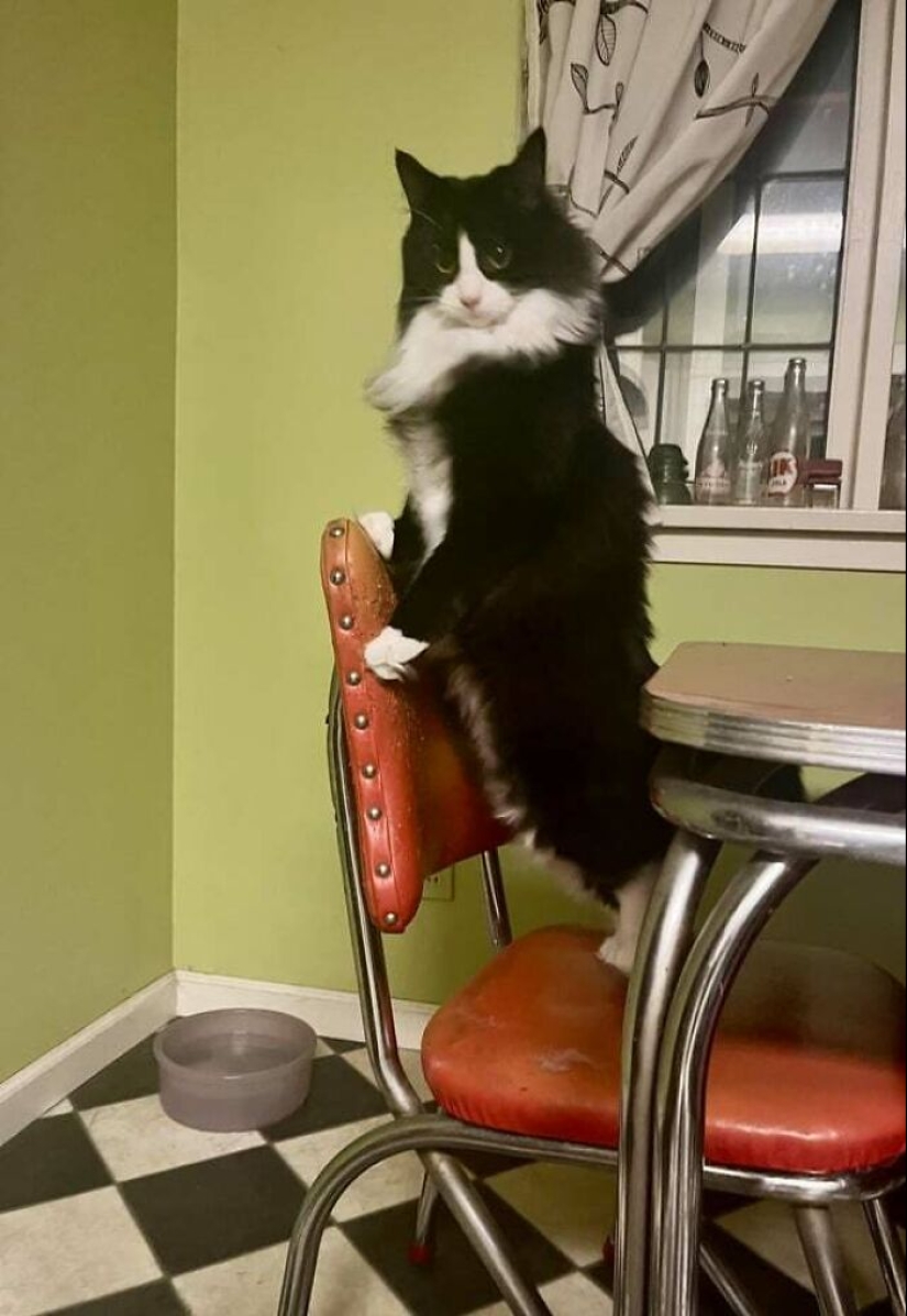 People Took Pictures, Only To Realize It Was ‘Accidental Renaissance’