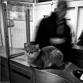 Pequeñas historias del gran metro