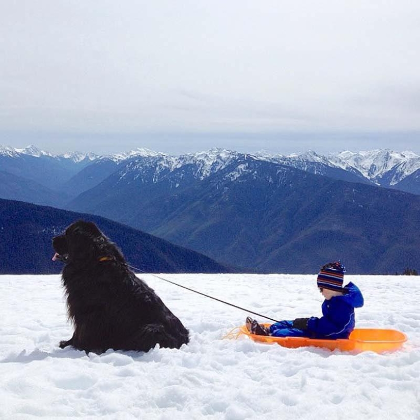 Pequeño amigo, gran amigo Pequeño amigo, gran amigo