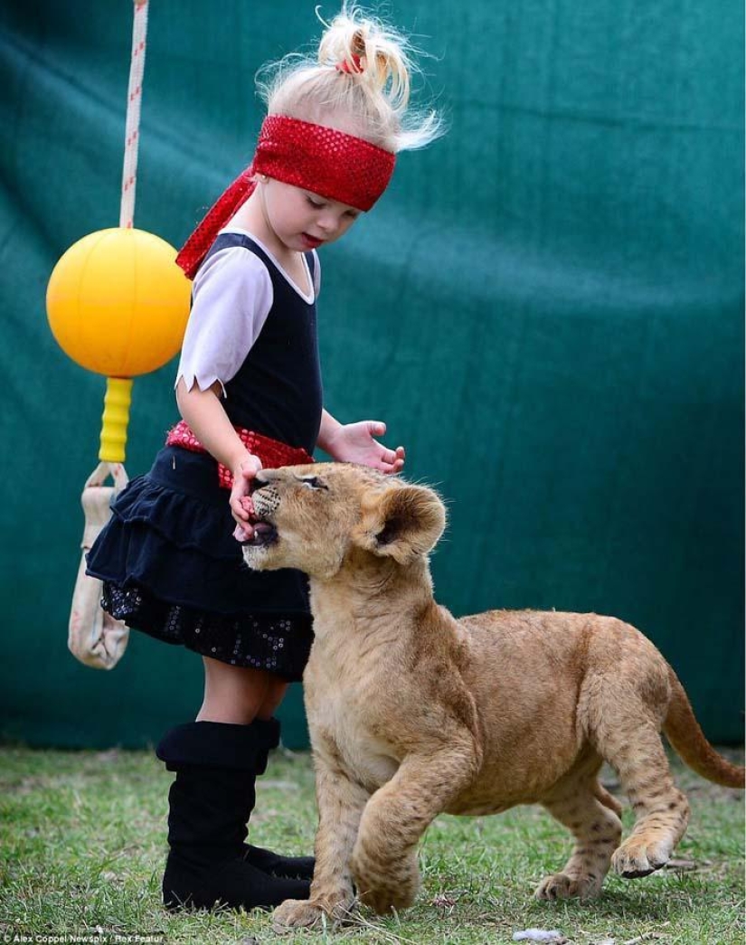Pequeño artista de circo y su cachorro de león mascota Tsimbi