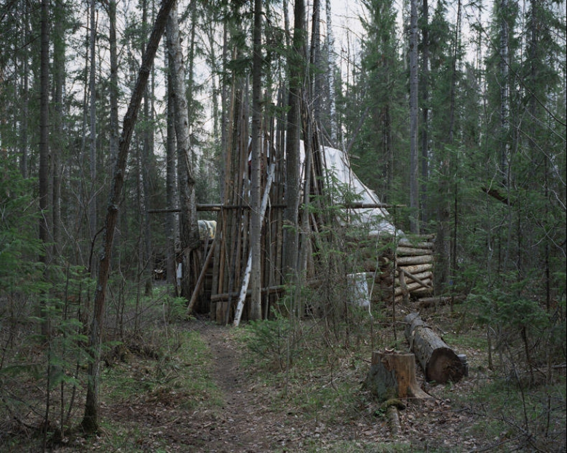 Perdido en la vida Perdido en la vida