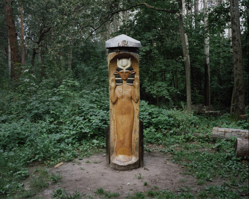 Perdido en la vida Perdido en la vida