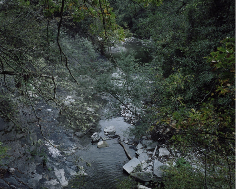 Perdido en la vida Perdido en la vida