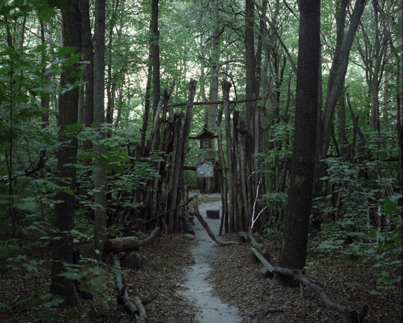 Perdido en la vida Perdido en la vida