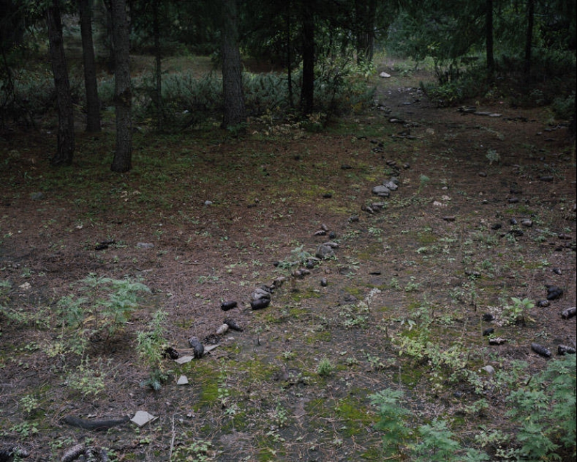 Perdido en la vida Perdido en la vida